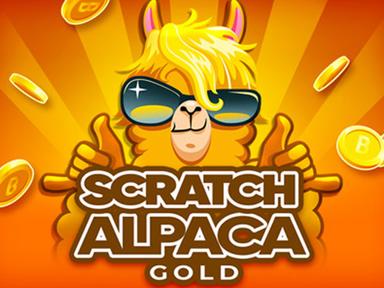 scratchalpacagold_Horizontal.jpg