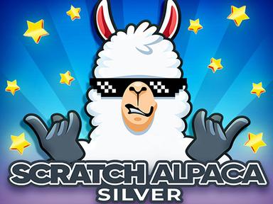 scratchalpacasilver_Horizontal.jpg